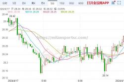 米兰体育-土耳其代表团再添多金，领跑榜单