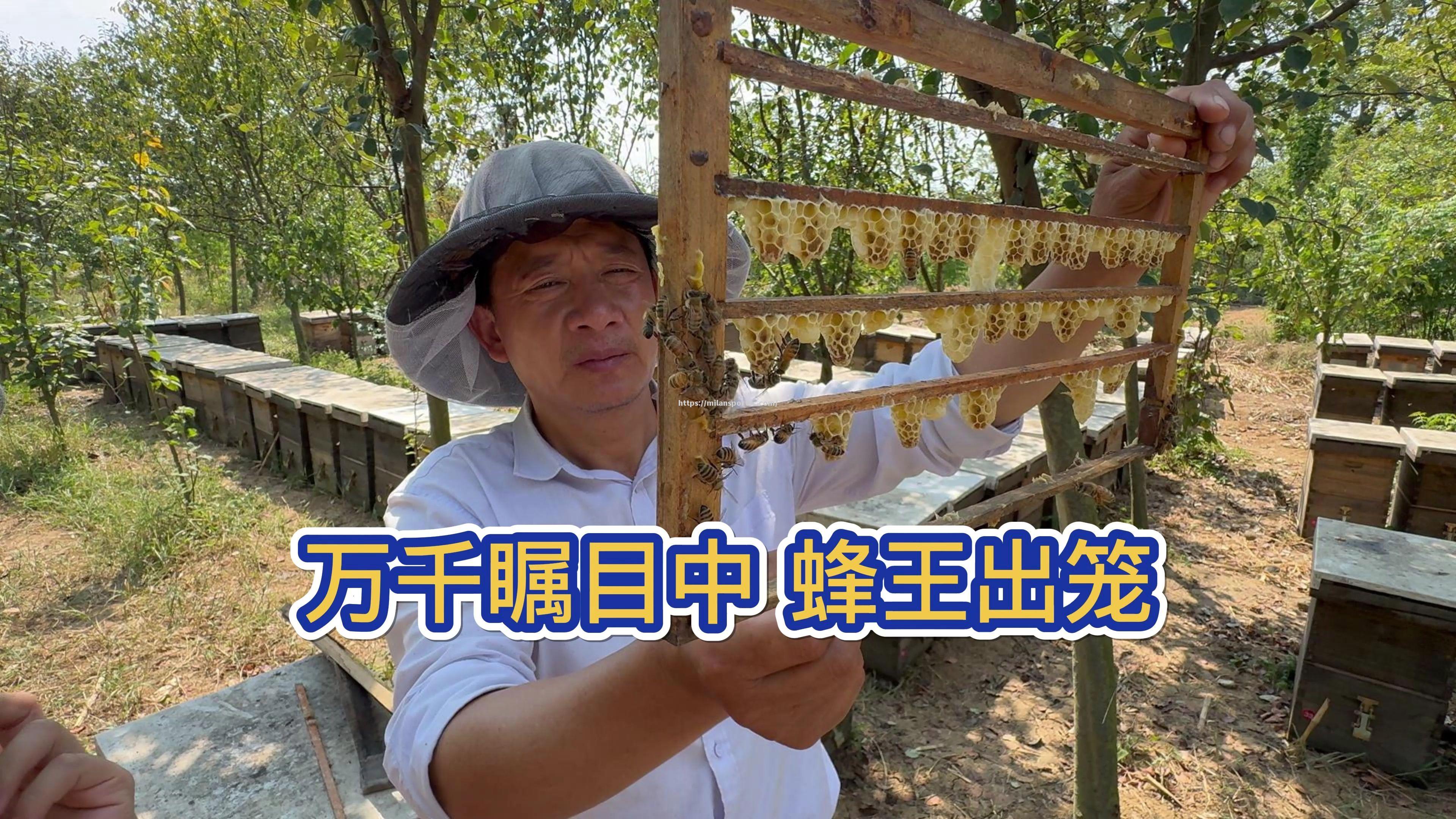 斯特拉斯堡后防表现神勇，成功守住胜局